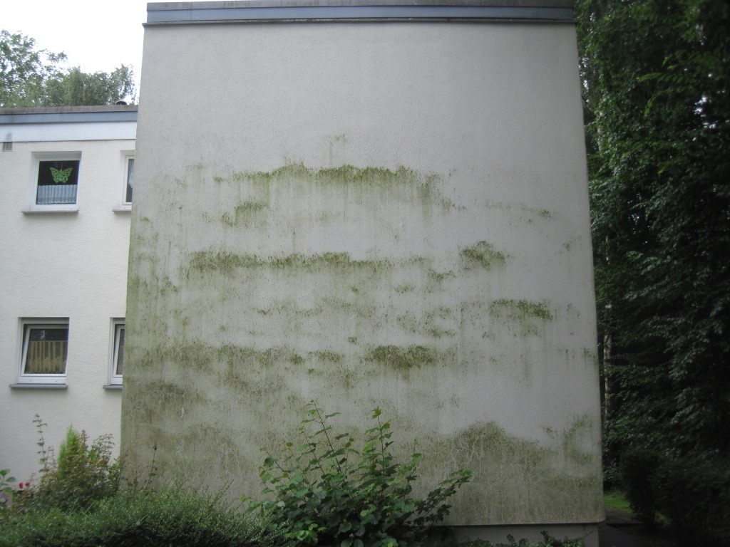 čistenie fasád - pred